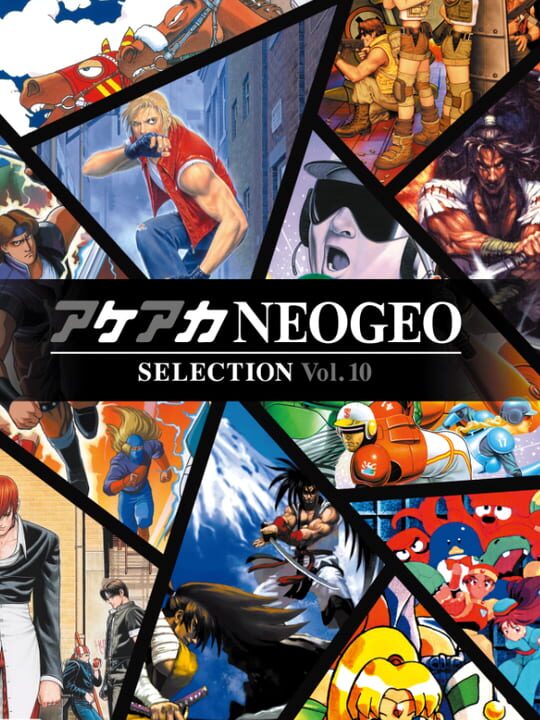 ACA NeoGeo Selection Vol. 10