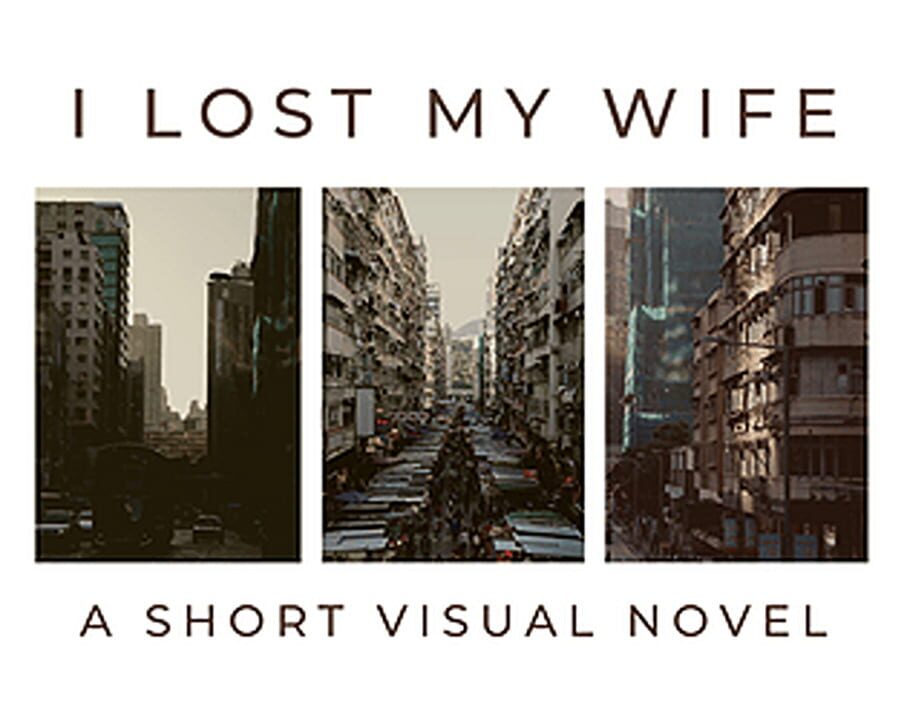 I Lost My Wife cover art