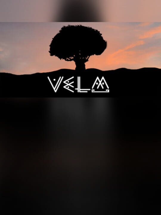VeLM cover art