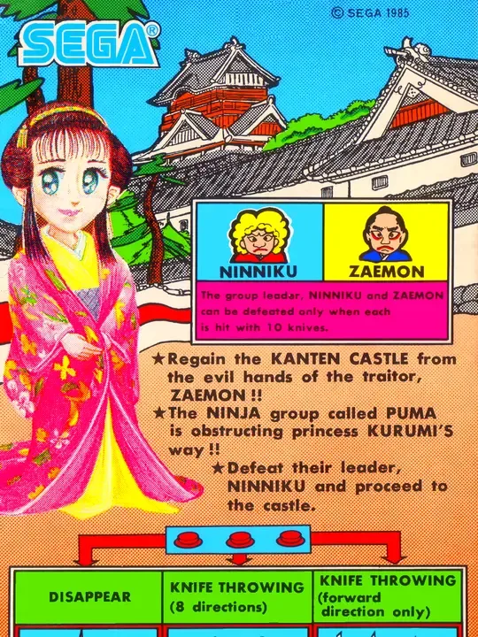 Sega Ninja cover art