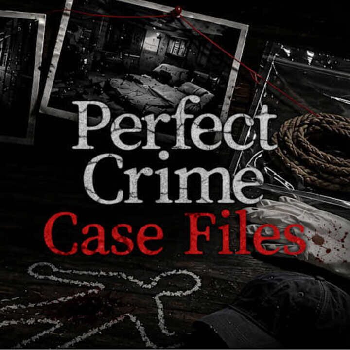 Perfect Crime Case Files cover image