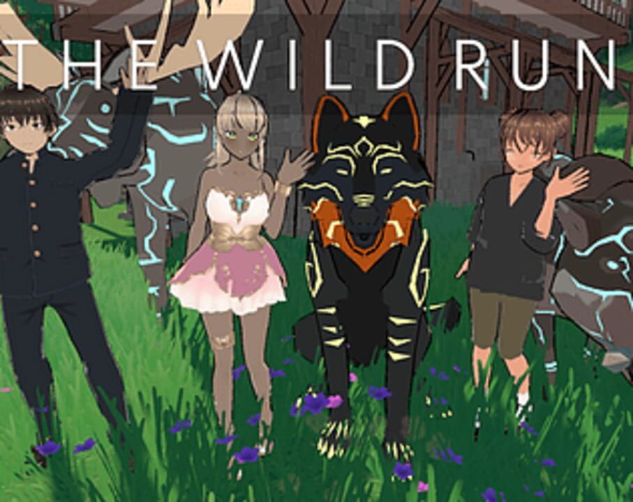 The Wild Run cover art