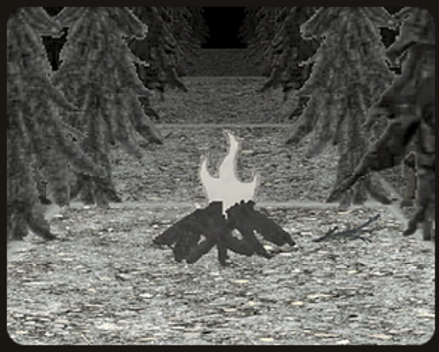 To Loose Your Way cover art