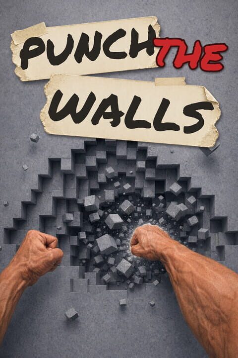 Punch the Walls cover art