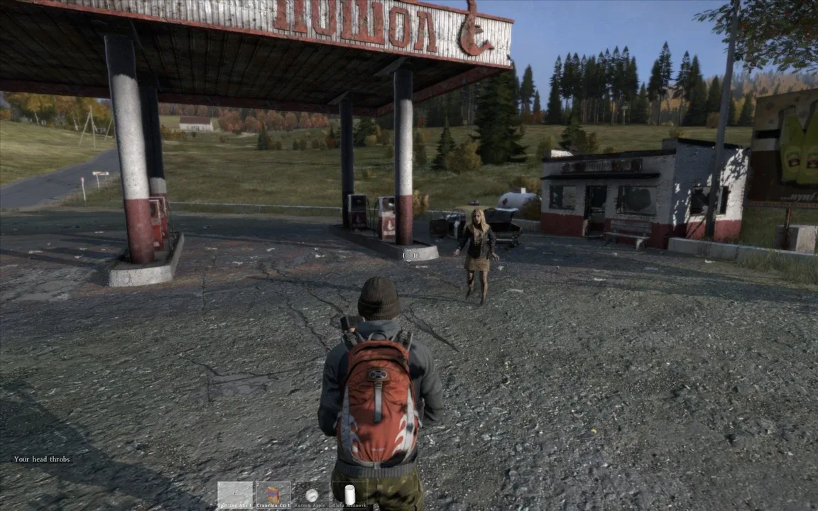 DayZ free download for PC screenshot 3