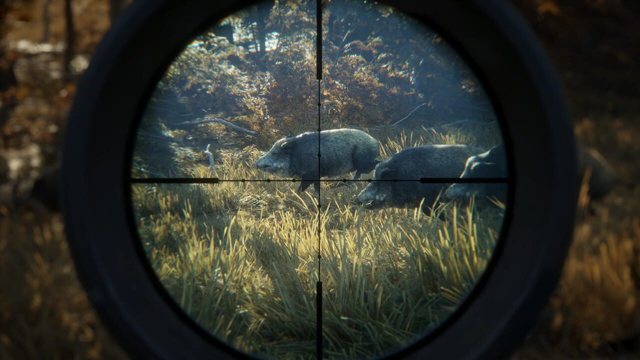 Capture de TheHunter: Call of the Wild
