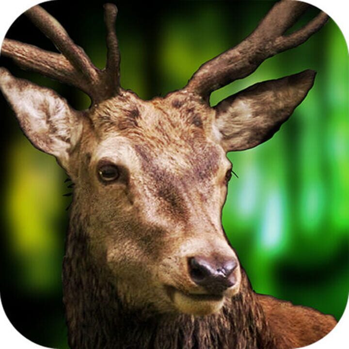 Hunting Animals 3D instal the new for android
