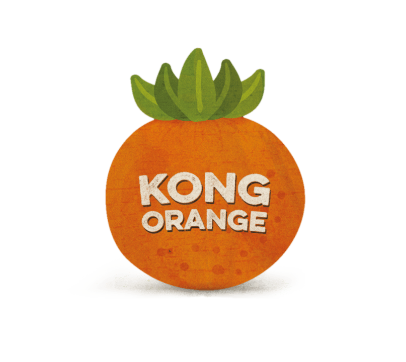 Kong Orange Logo