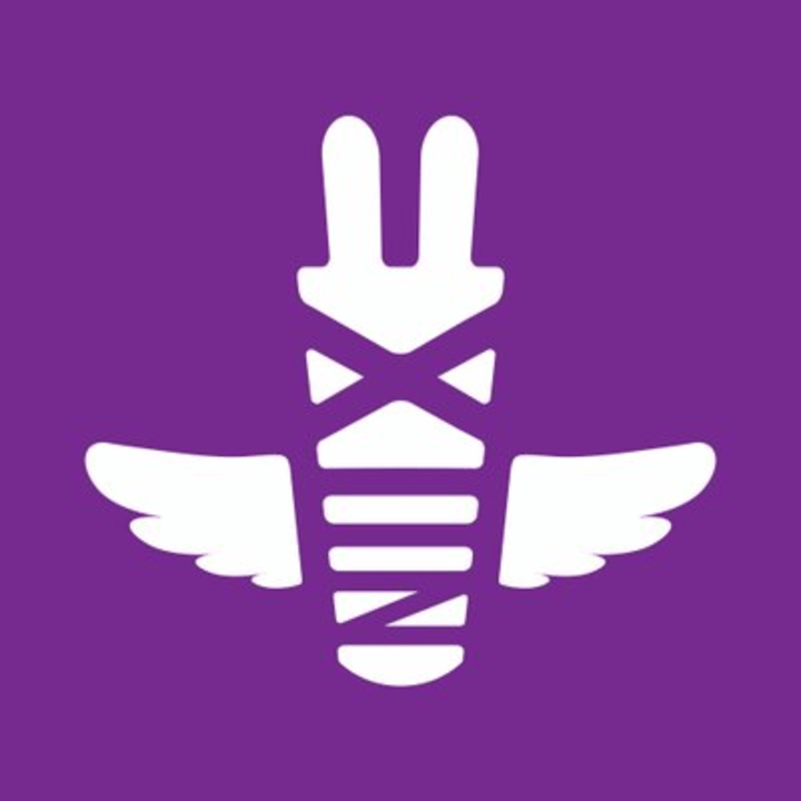 eXiin Logo