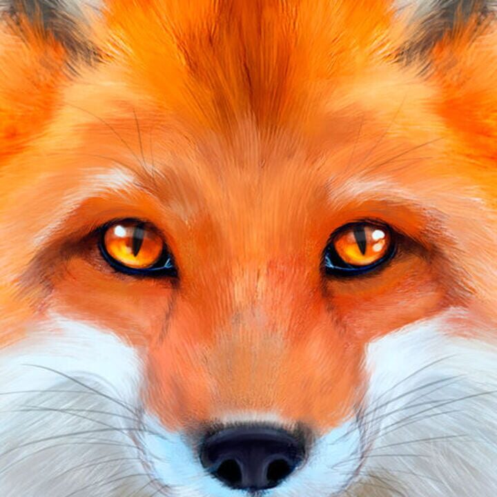 Ultimate Fox Simulator cover