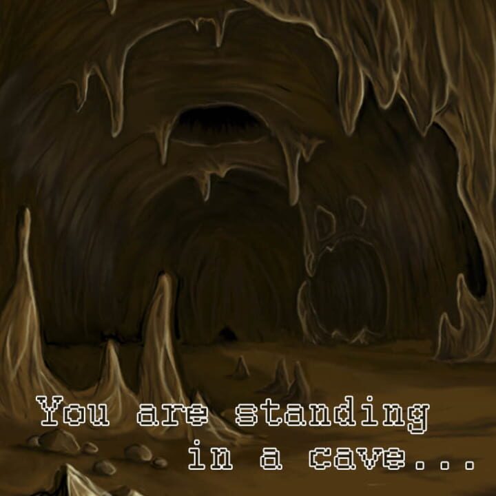 You are standing in a cave... cover art