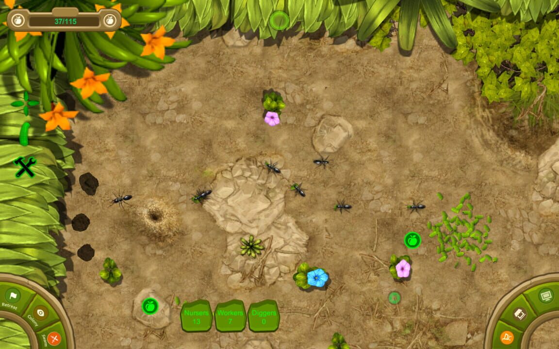 Ant Queen (2016)