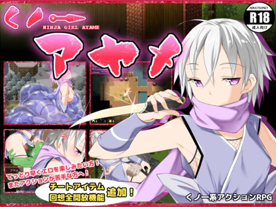 Ninja Girl Ayame cover art