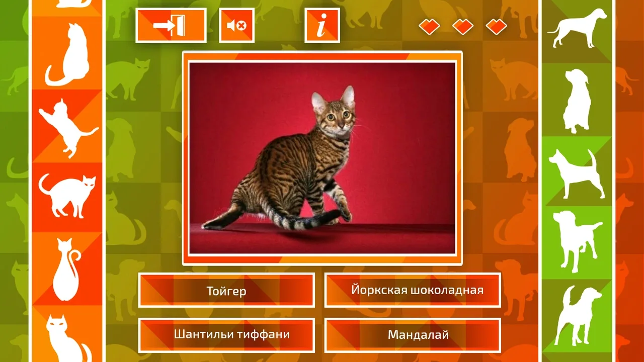 JQ: dogs & cats screenshot 2