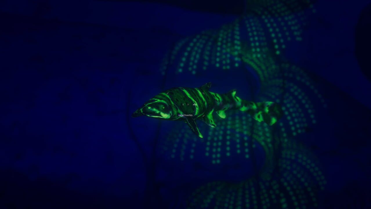 Capture de Beyond Blue