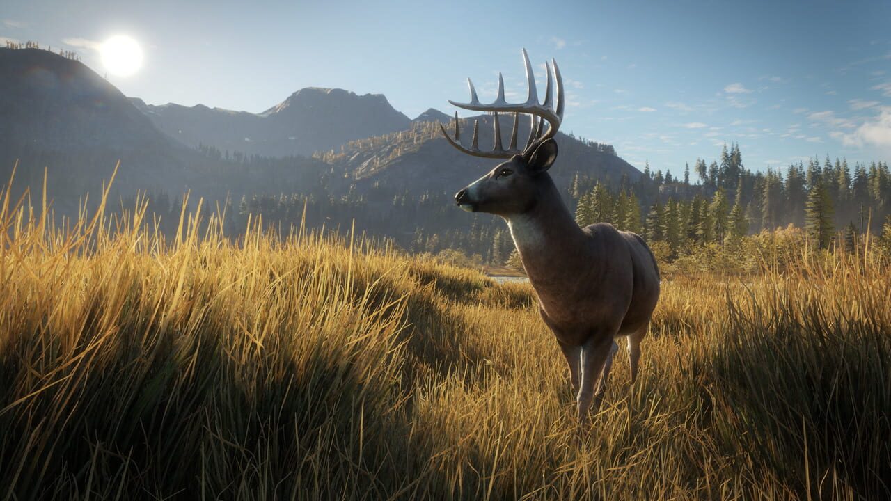Capture de TheHunter: Call of the Wild