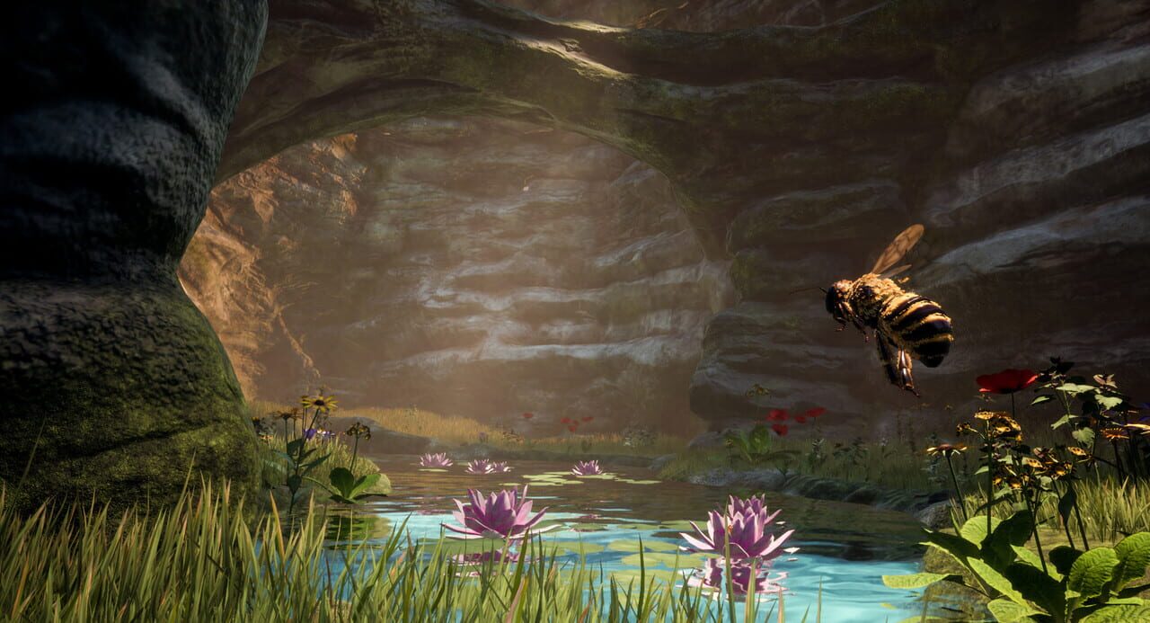 Capture de Bee Simulator