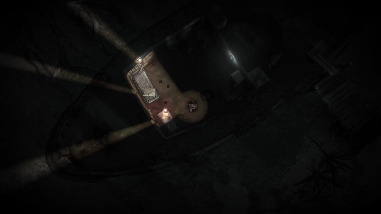 Capture de Darkwood II