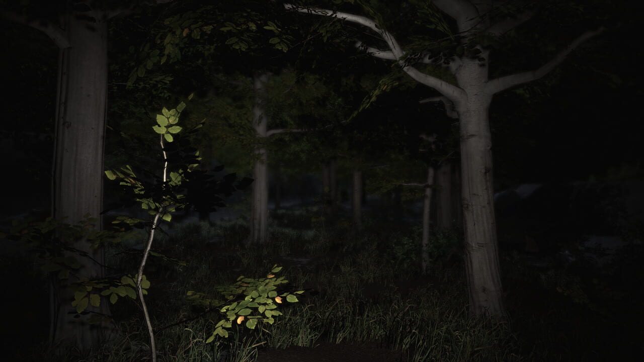 Blinding Oversight screenshot