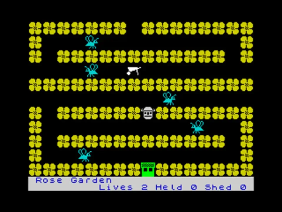 Ned's Garden