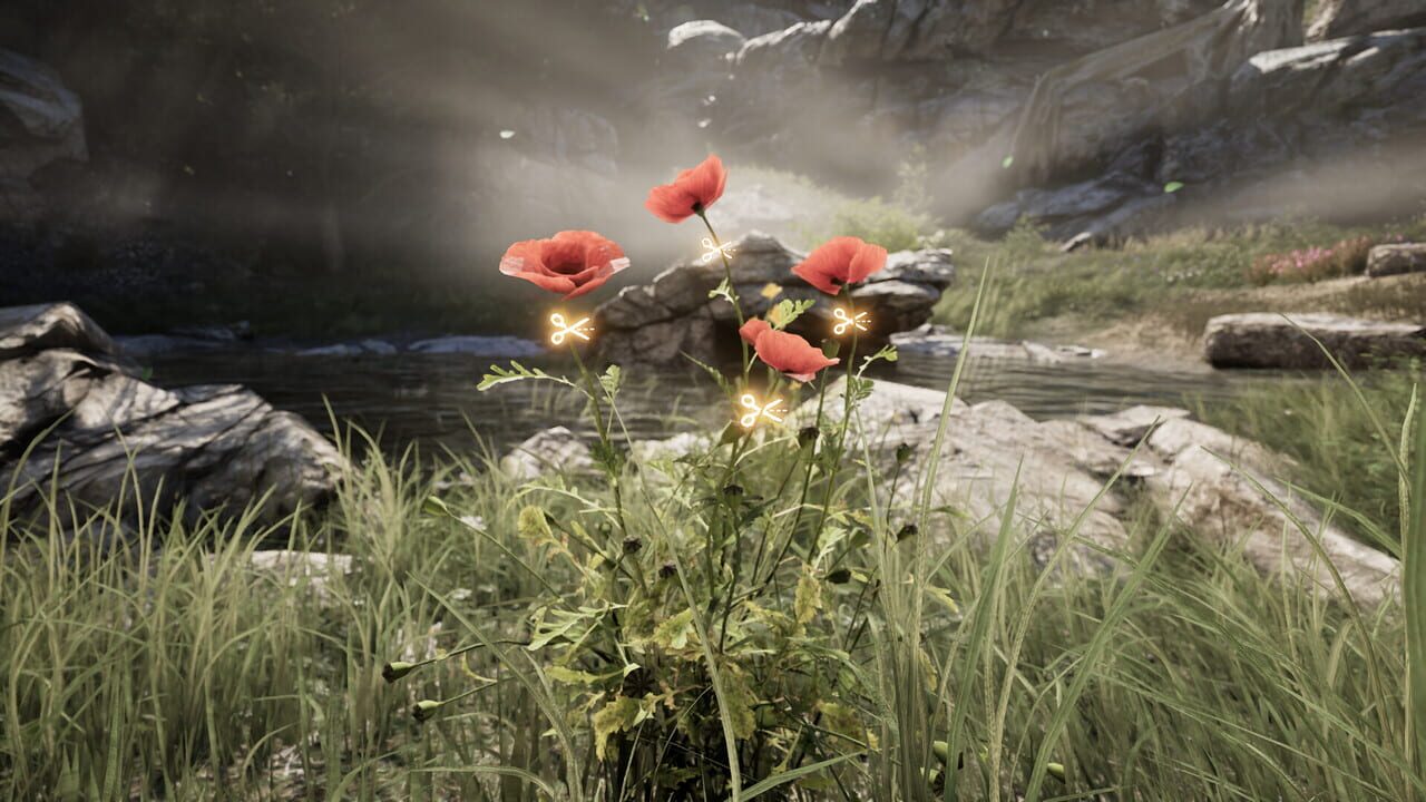 Capture de Plague Doctor: Life in Pestilence