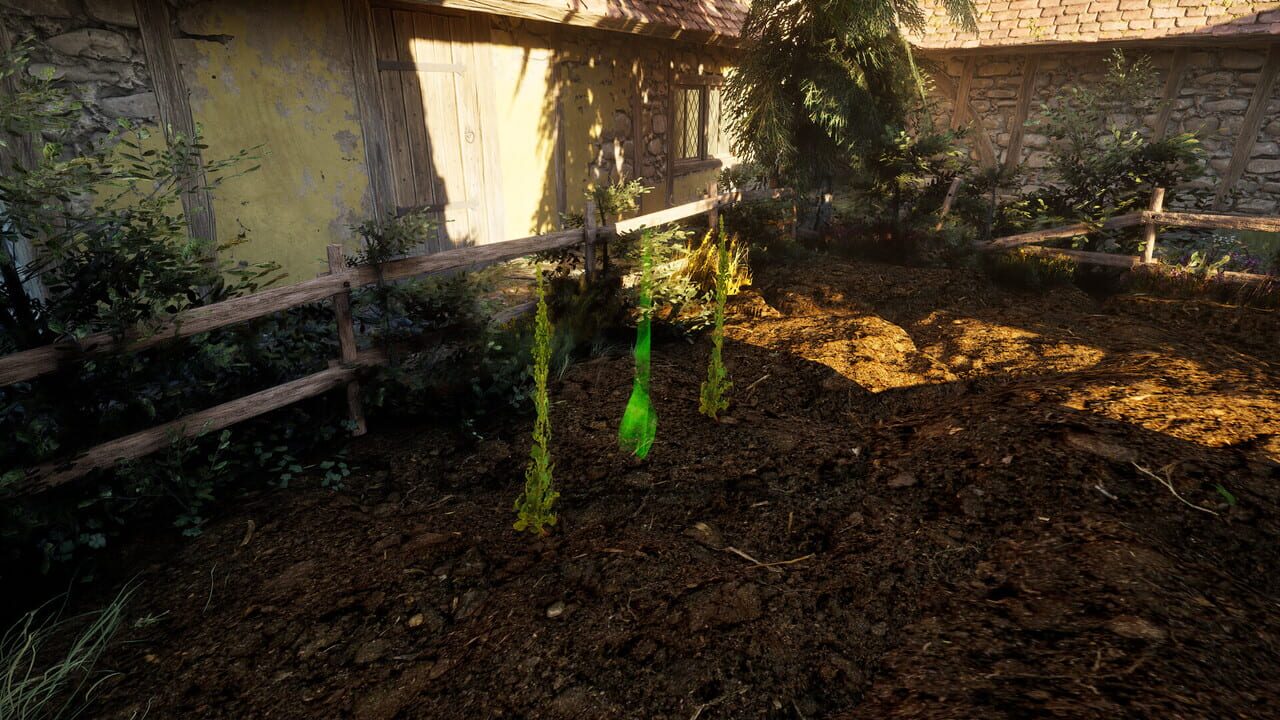 Capture de Plague Doctor: Life in Pestilence