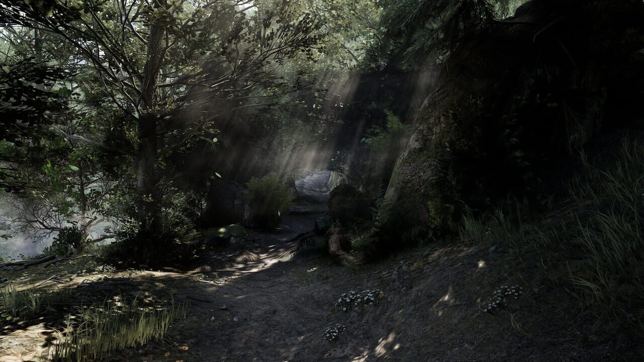 Capture de Plague Doctor: Life in Pestilence