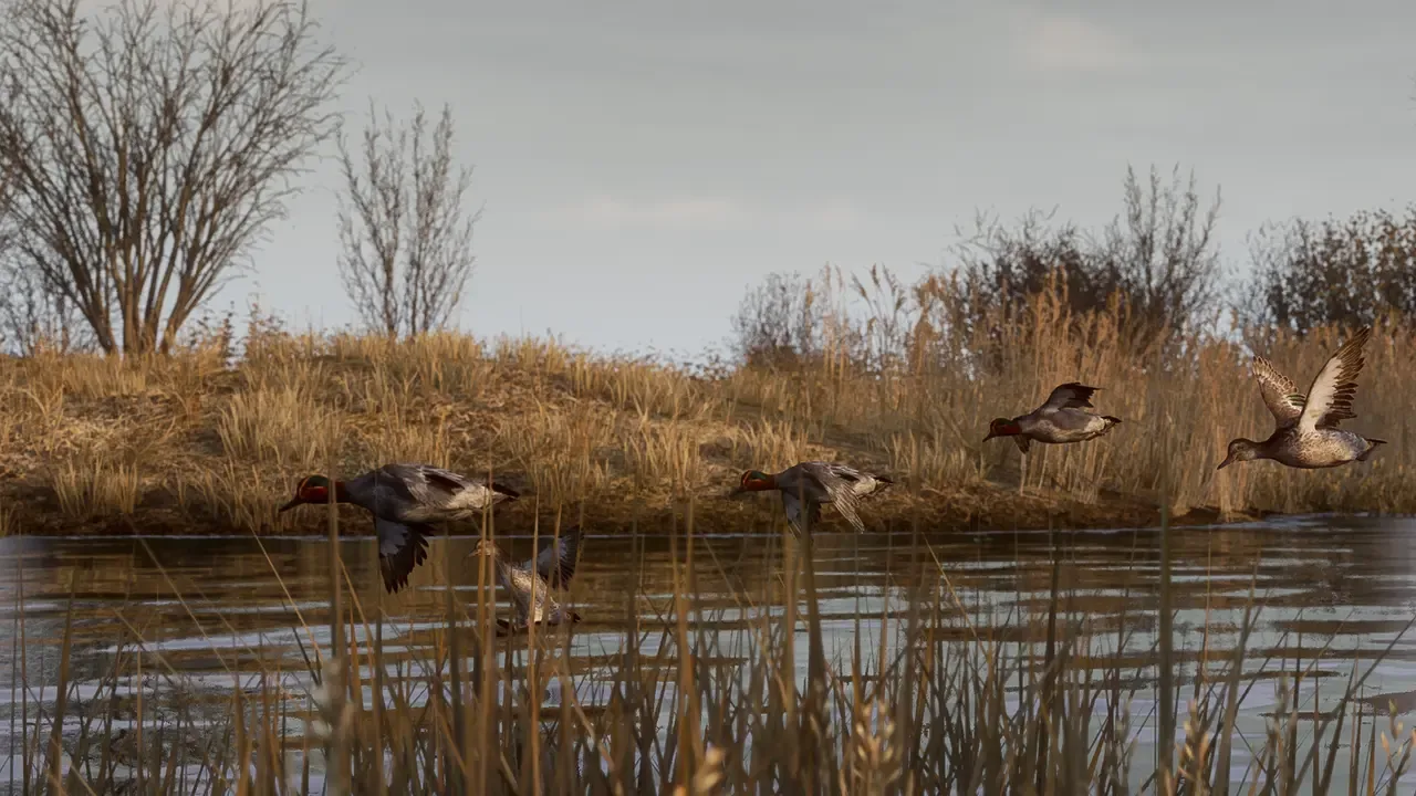 Bult: Hunting Simulator screenshot 2