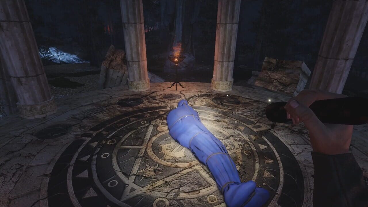 The Forest Watches screenshot