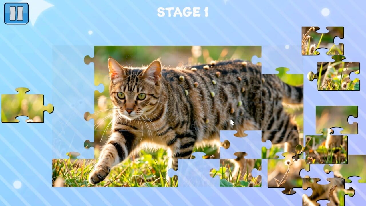 Funny Cats Puzzle screenshot