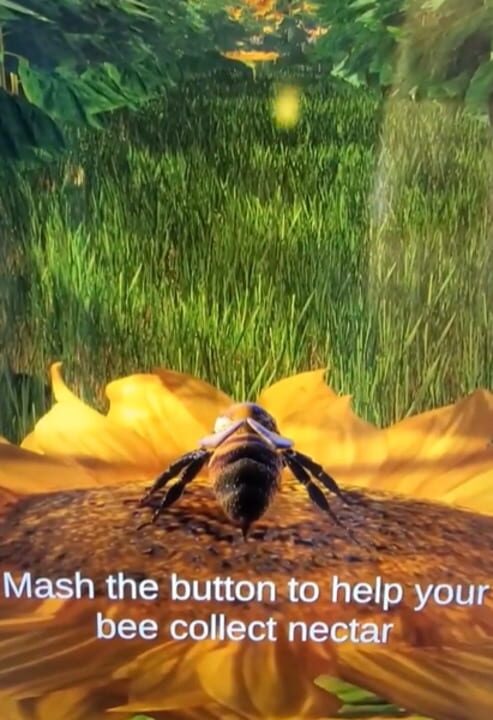 Be a Bee