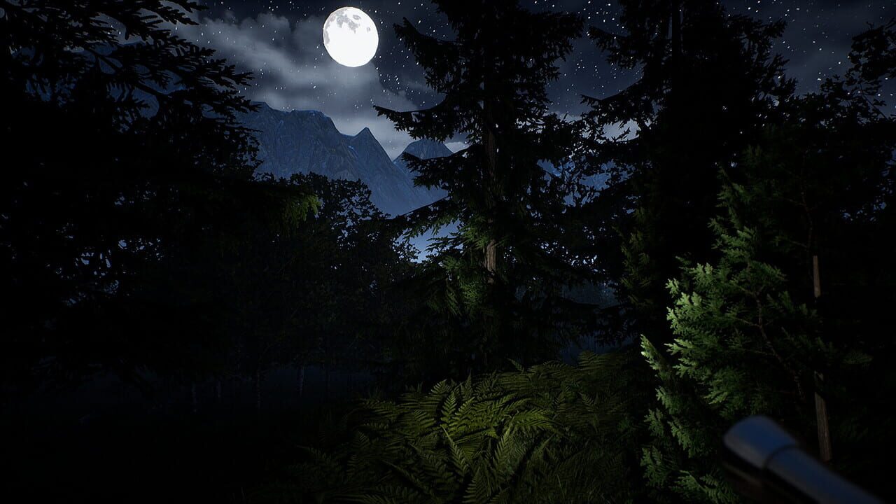 Campfire: Night One screenshot