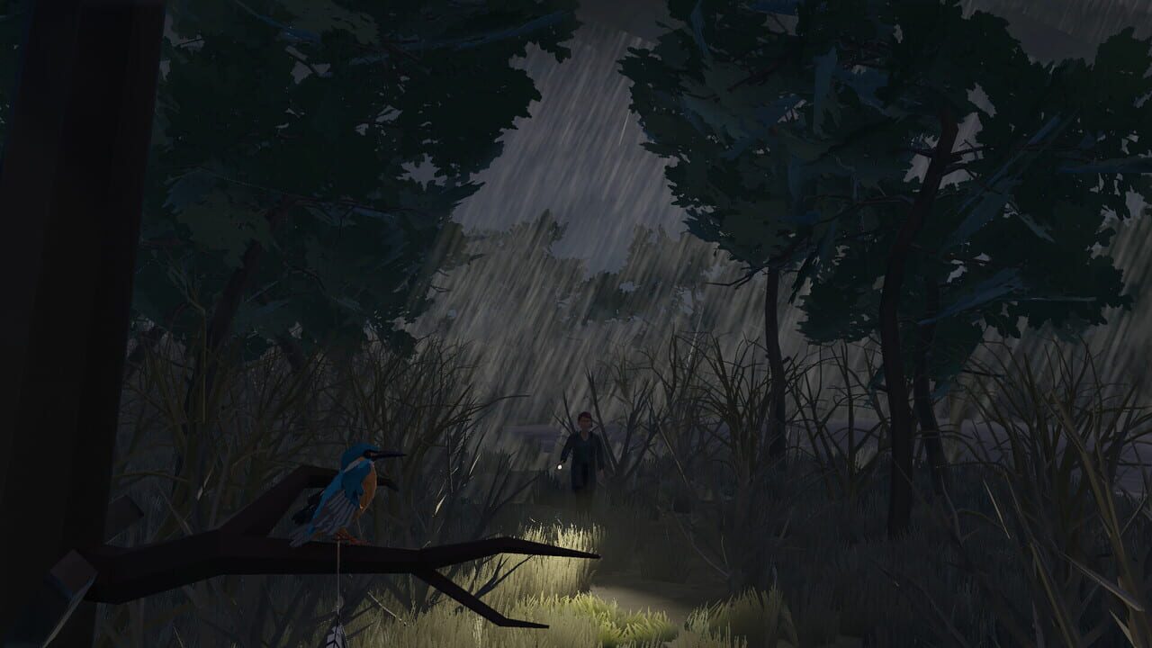 Kingfisher: An Autism Tale