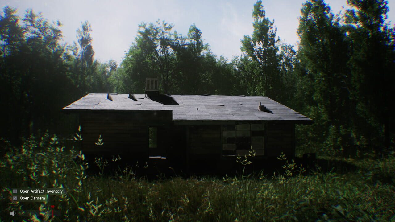 Sector 13: Haunted Woods