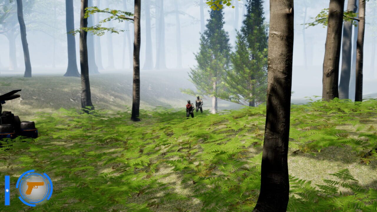 Horizons Scavenger