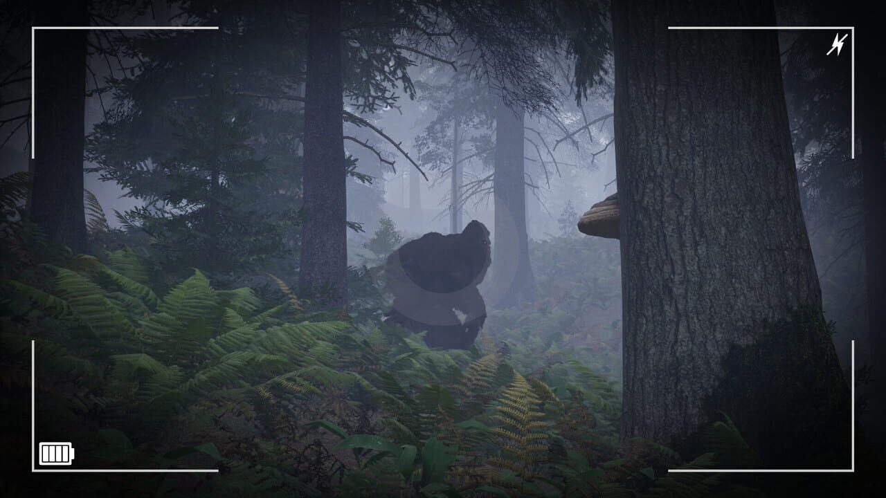Trail of the Cryptid