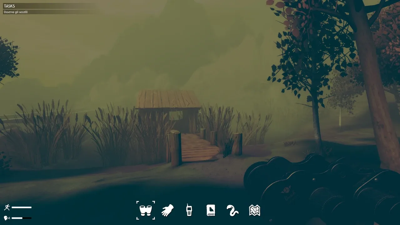 Birds Watching screenshot 1