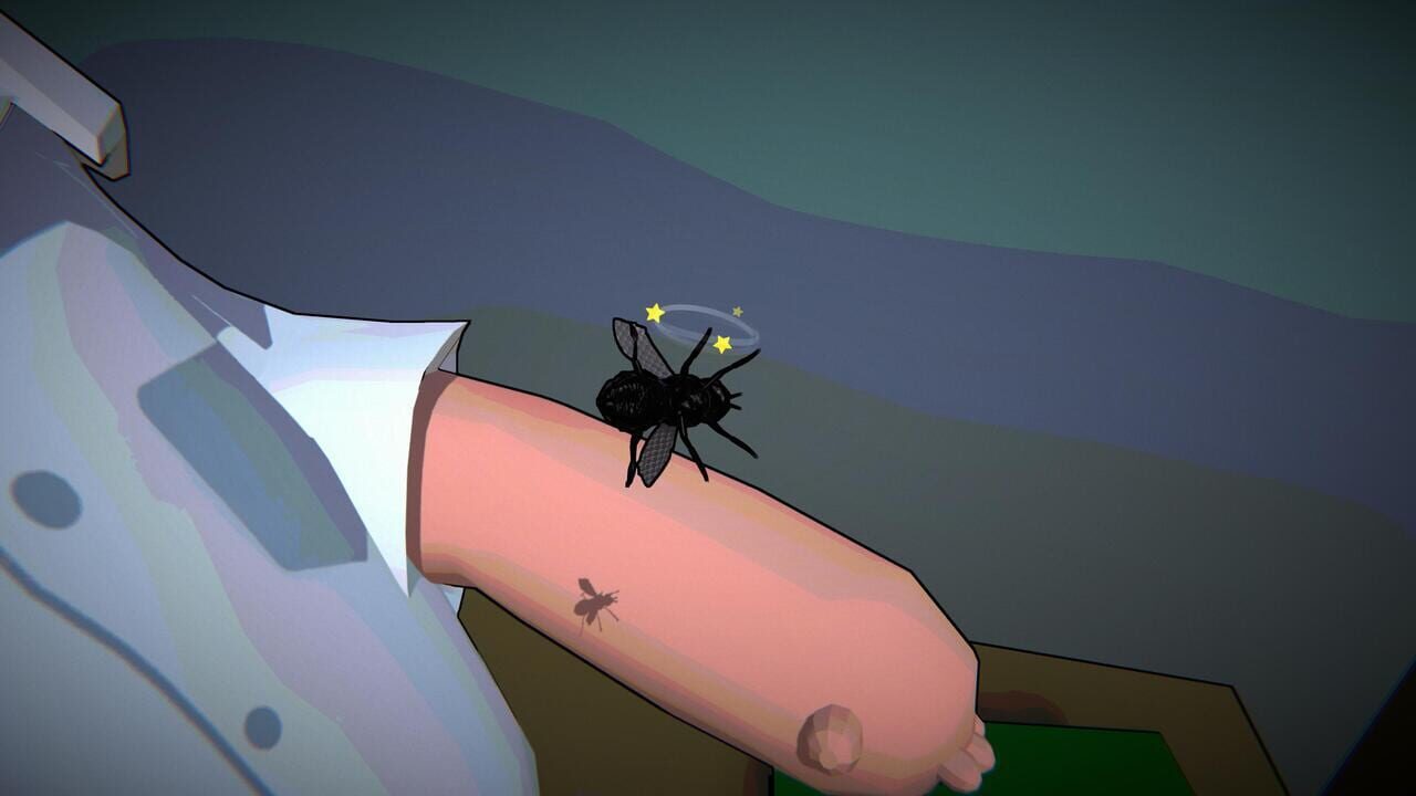 Fly for Fly screenshot