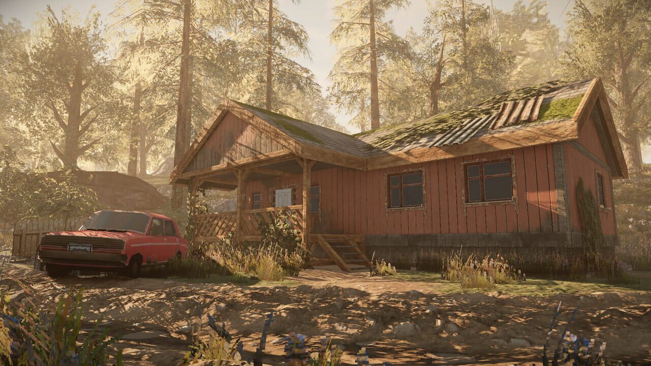 My Summer Cottage