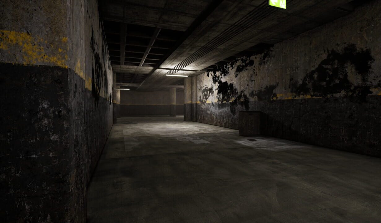 The Abandoned Levels