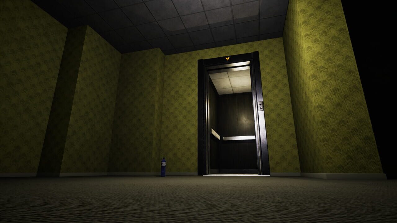 The Abandoned Levels