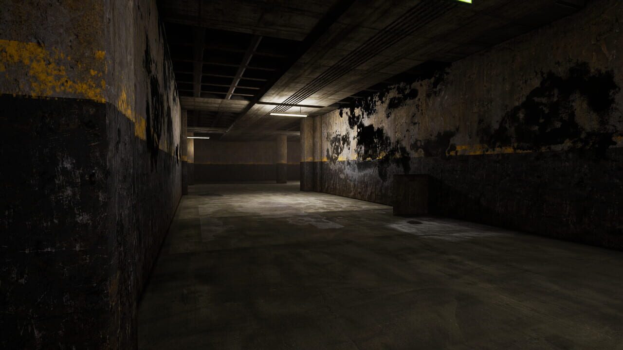 The Abandoned Levels