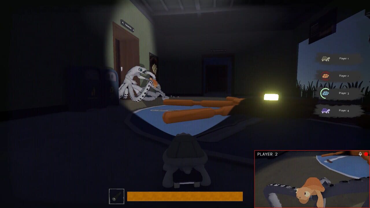 TurtleSkate