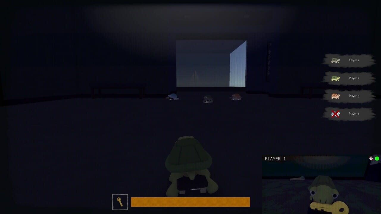 TurtleSkate