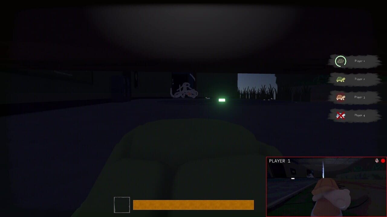 TurtleSkate