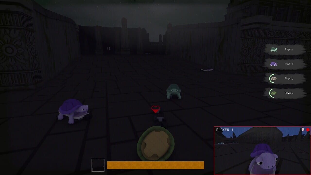TurtleSkate