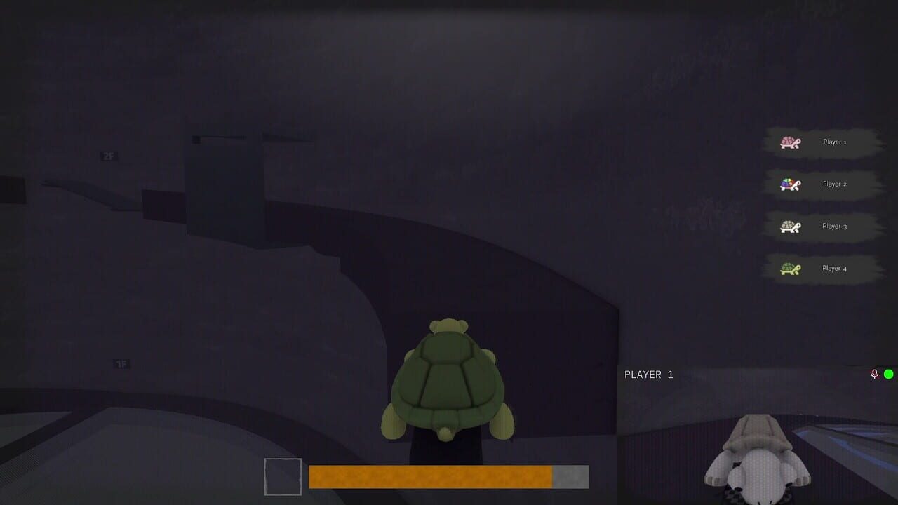TurtleSkate