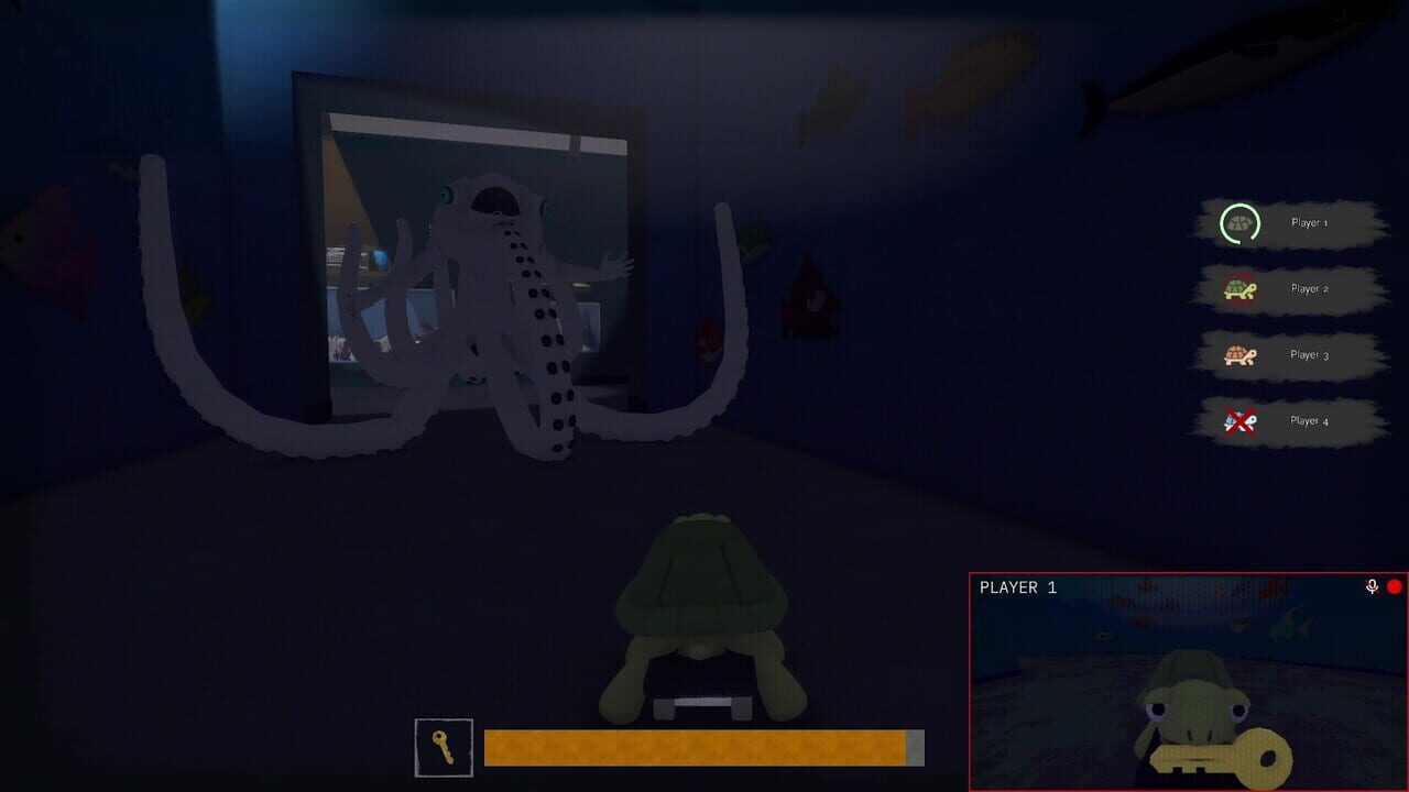 TurtleSkate