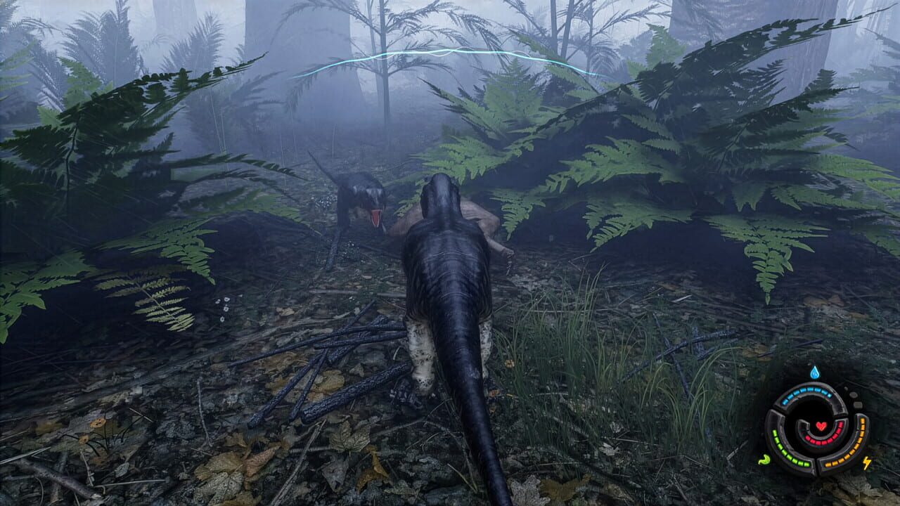 66