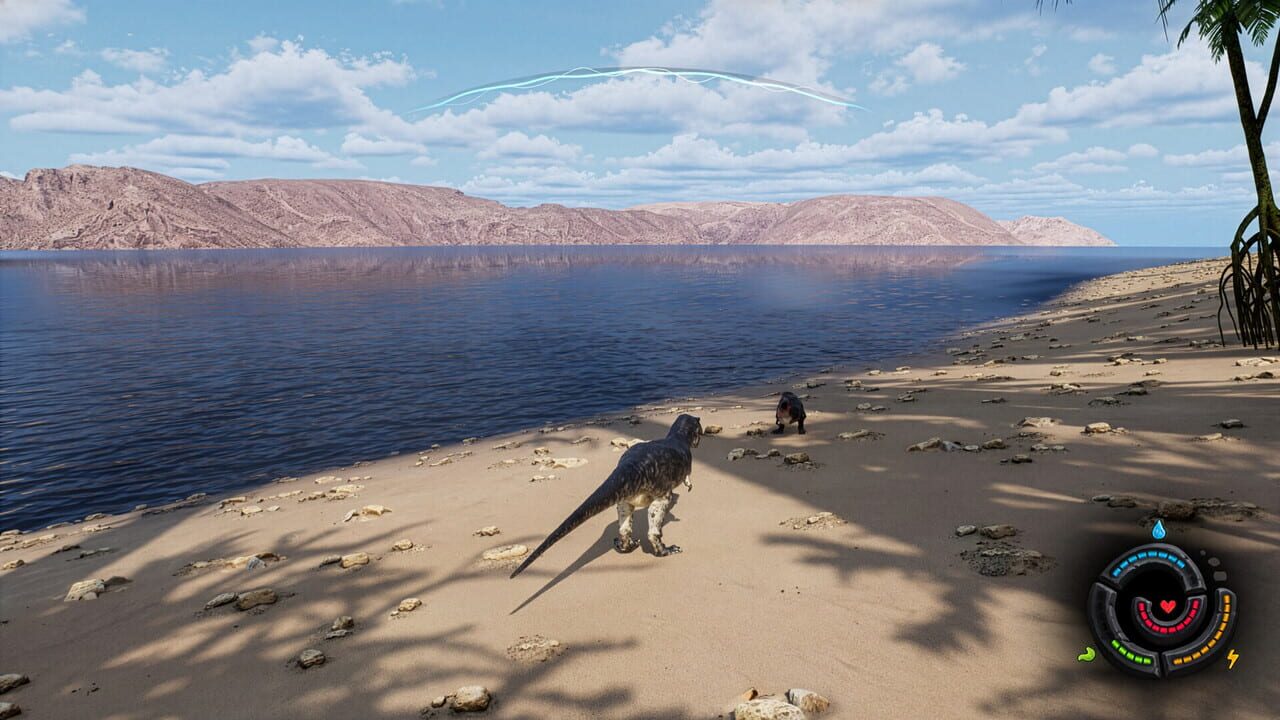 66